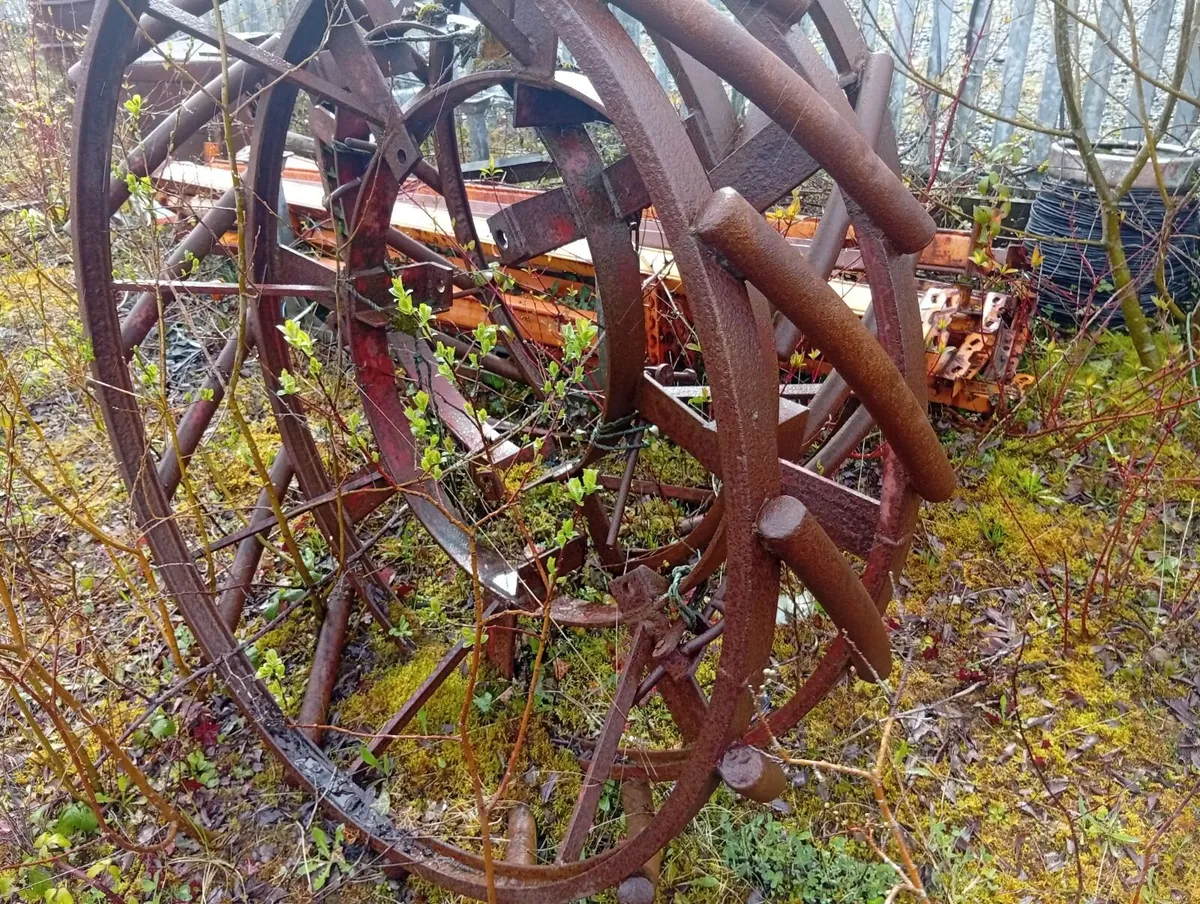 Bog wheels - Image 2