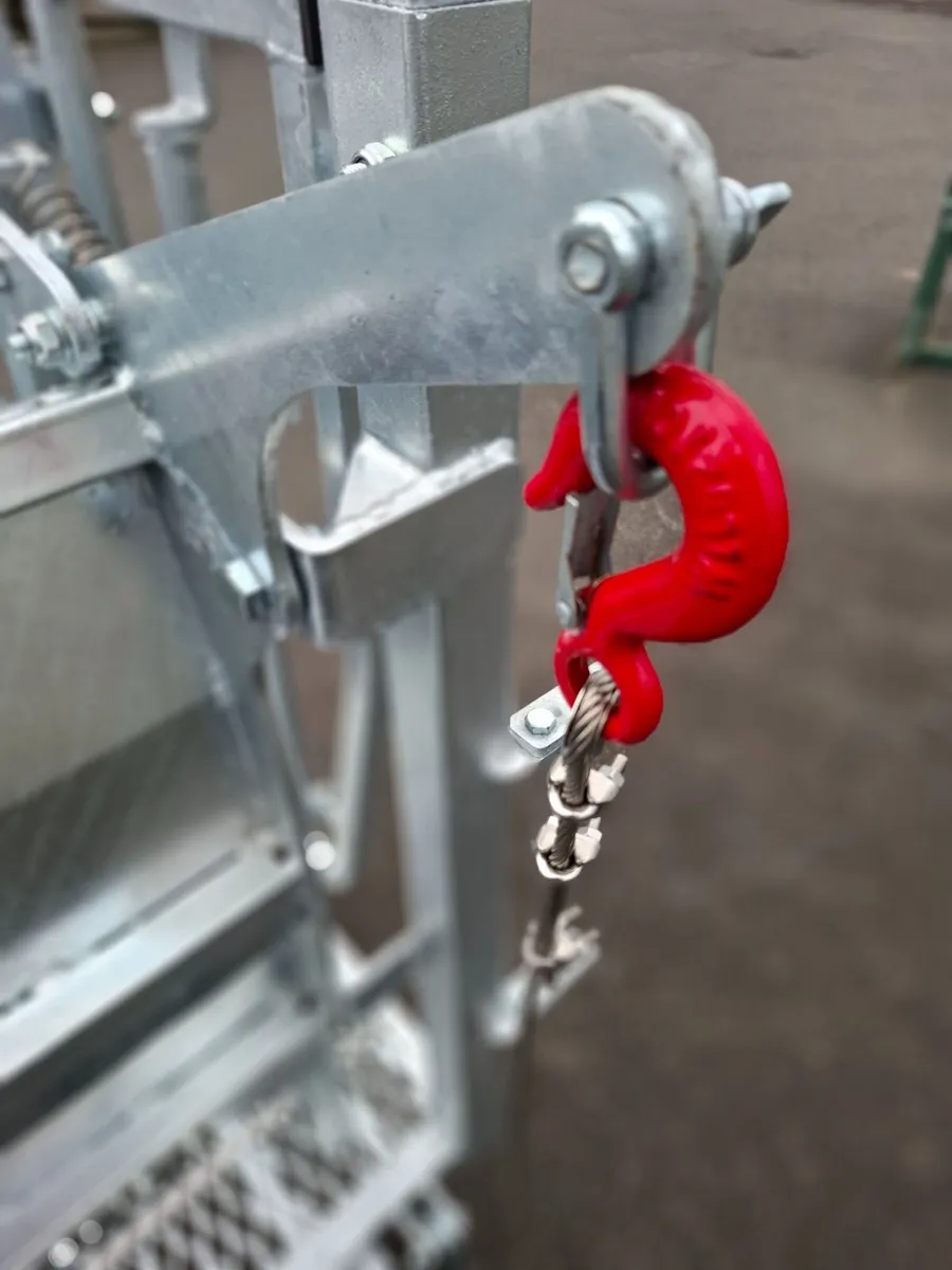 Stockmaster 5 n 1 Sheep Turnover Crate - Image 3