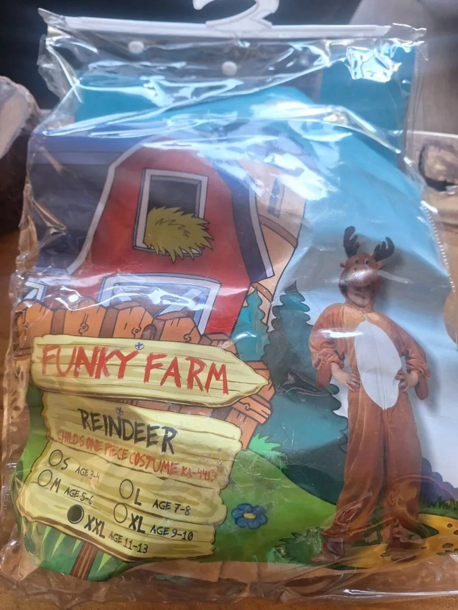 Fancy Dress - Image 1