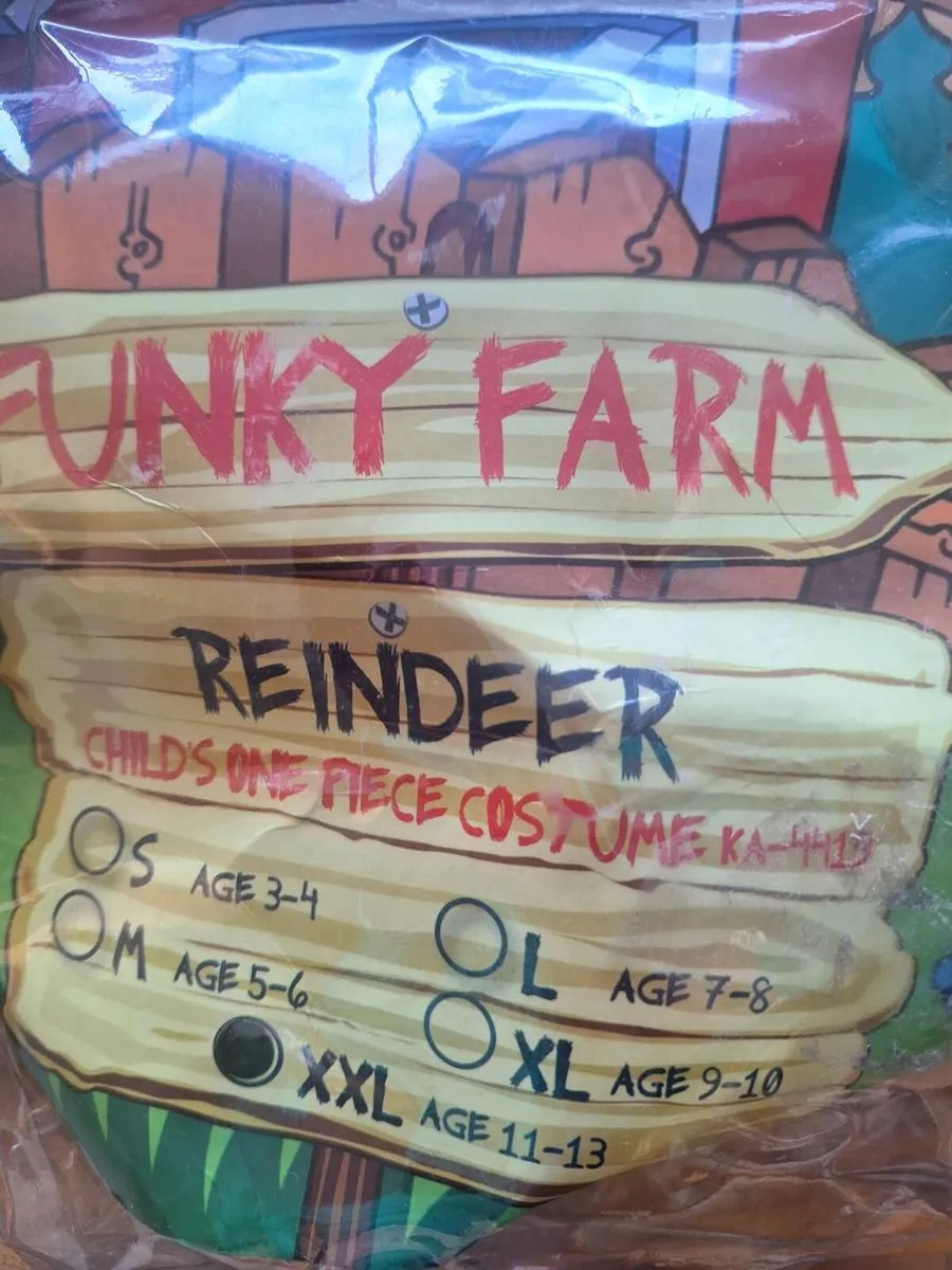 Fancy Dress - Image 2