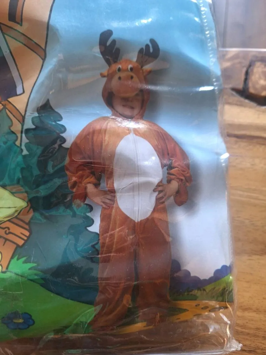 Fancy Dress - Image 3