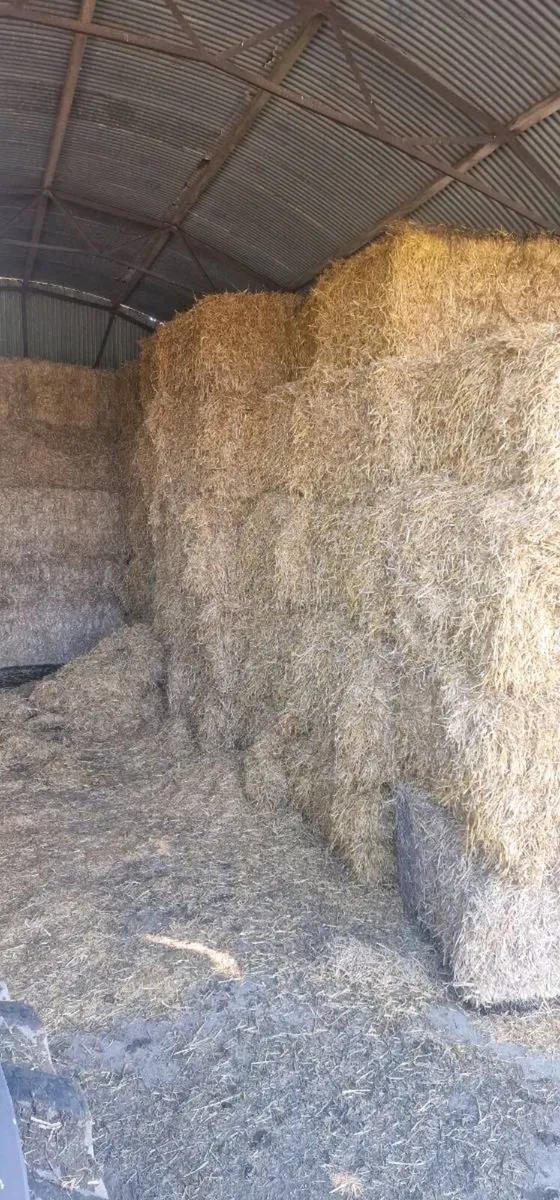 Straw for sale - Image 1