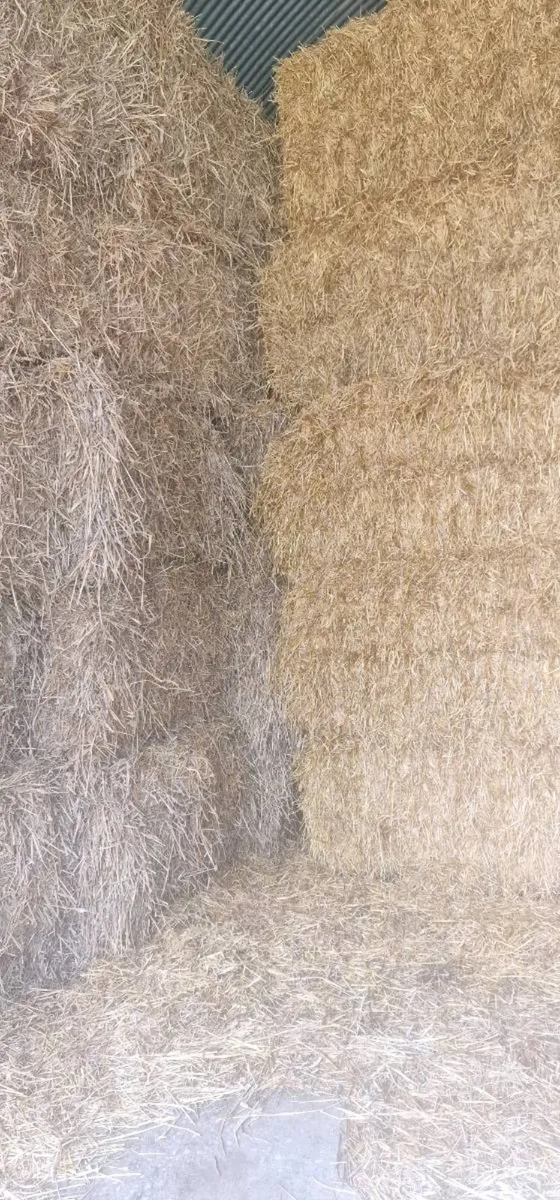 Straw for sale - Image 2