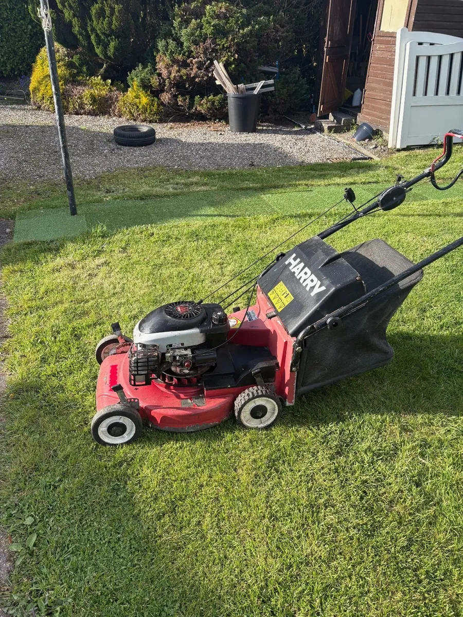 HARRY 5 LT SELF PROPELLED LAWNMORE - Image 3