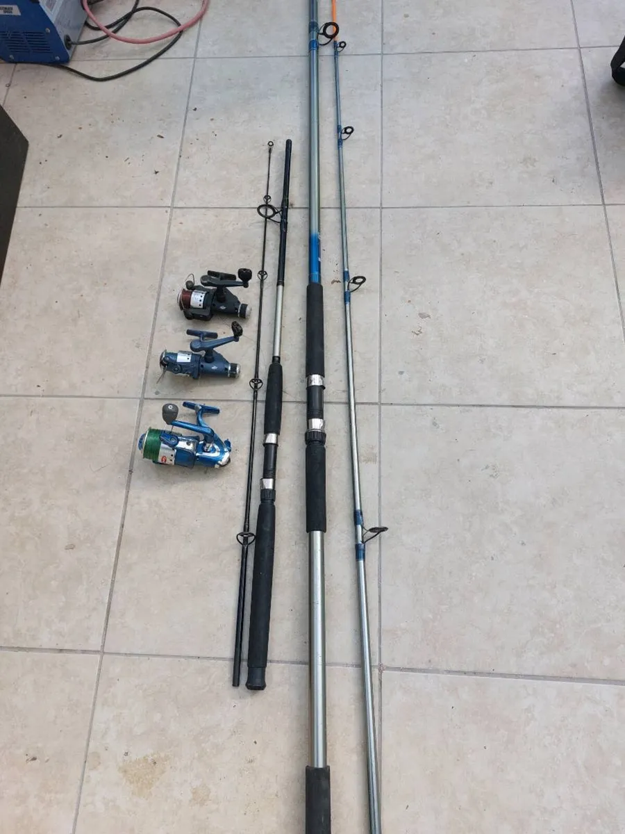 Fishing rods and spinning reels