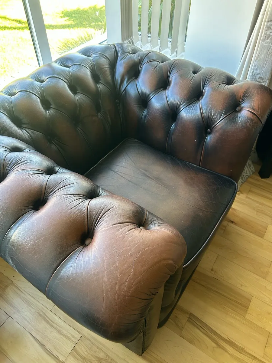 Chesterfield lounge chair in chestnut brown - Image 2