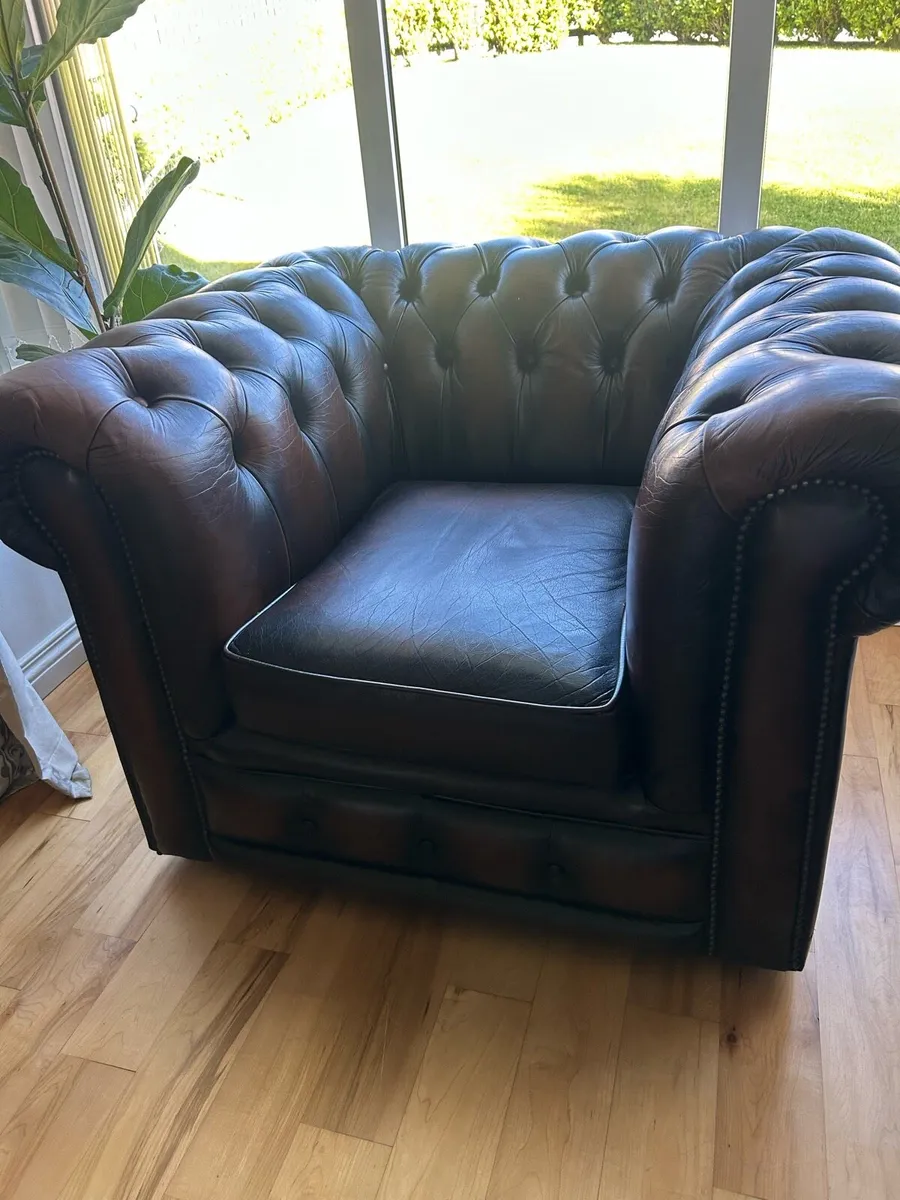 Chesterfield lounge chair in chestnut brown - Image 4