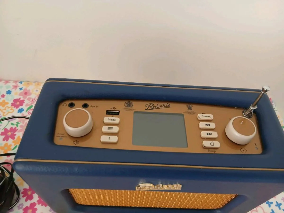 Roberts revival istream 3 - Image 4