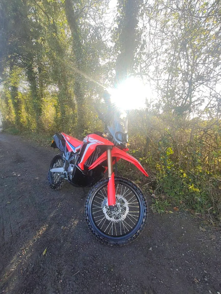 Honda CRF 300 Rally - Image 2