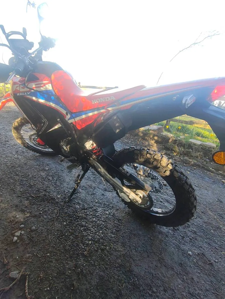 Honda CRF 300 Rally - Image 4
