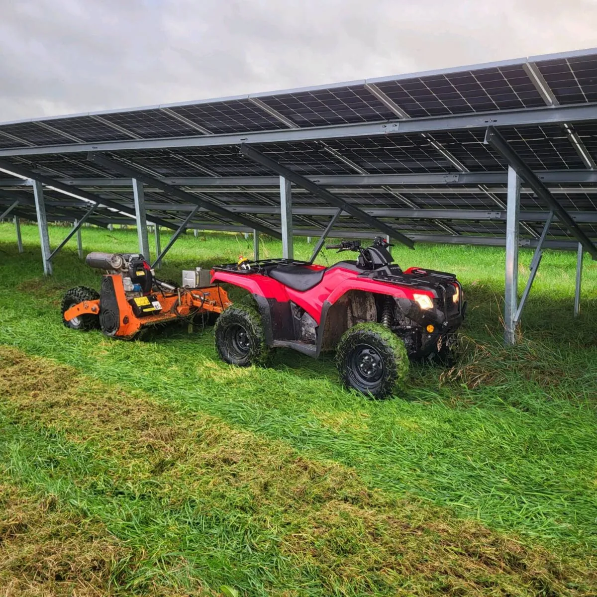 Plant hire - Image 3