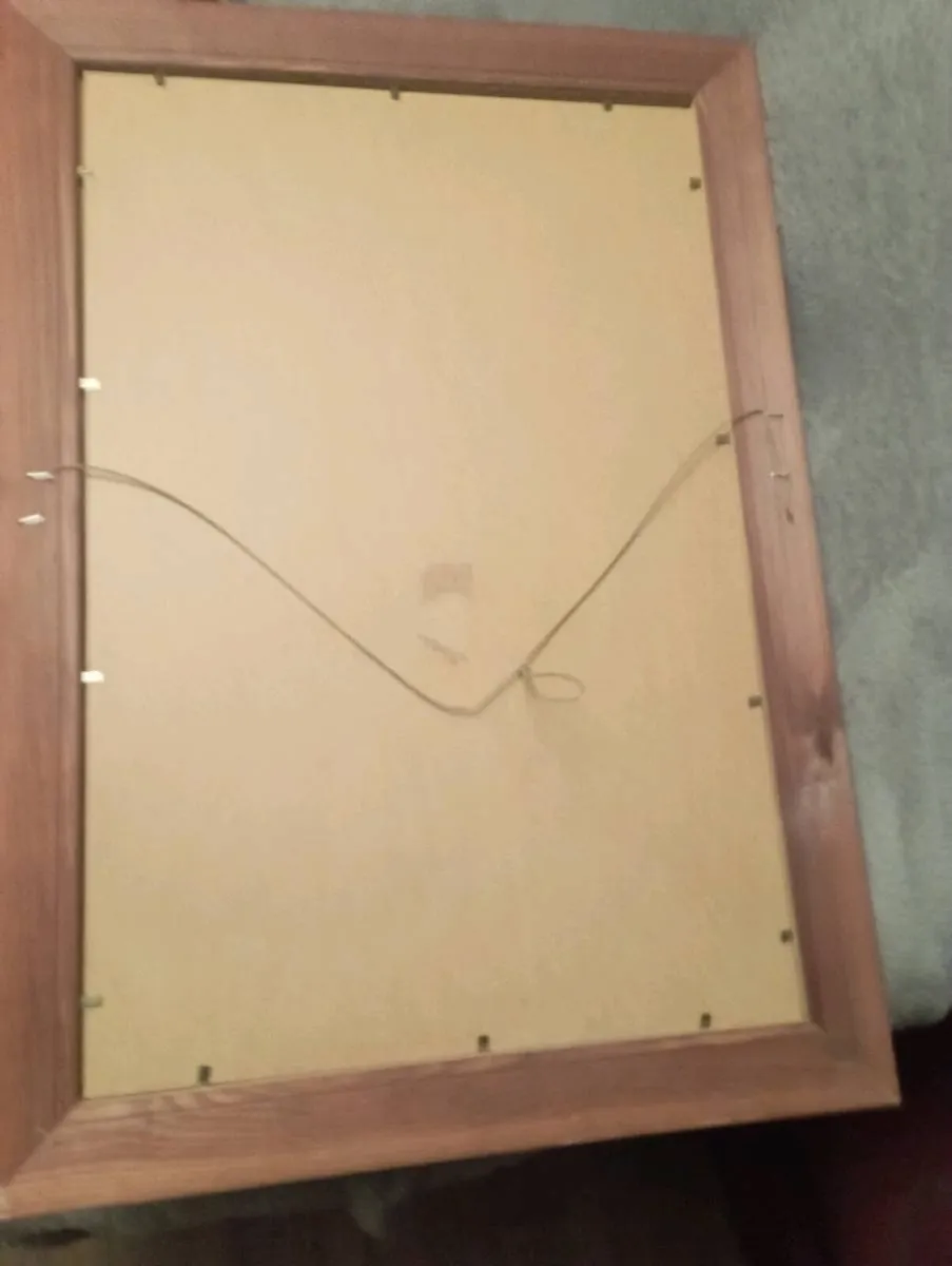 CORK GAA MEMORABILIA DECORATIVE MIRROW - Image 3