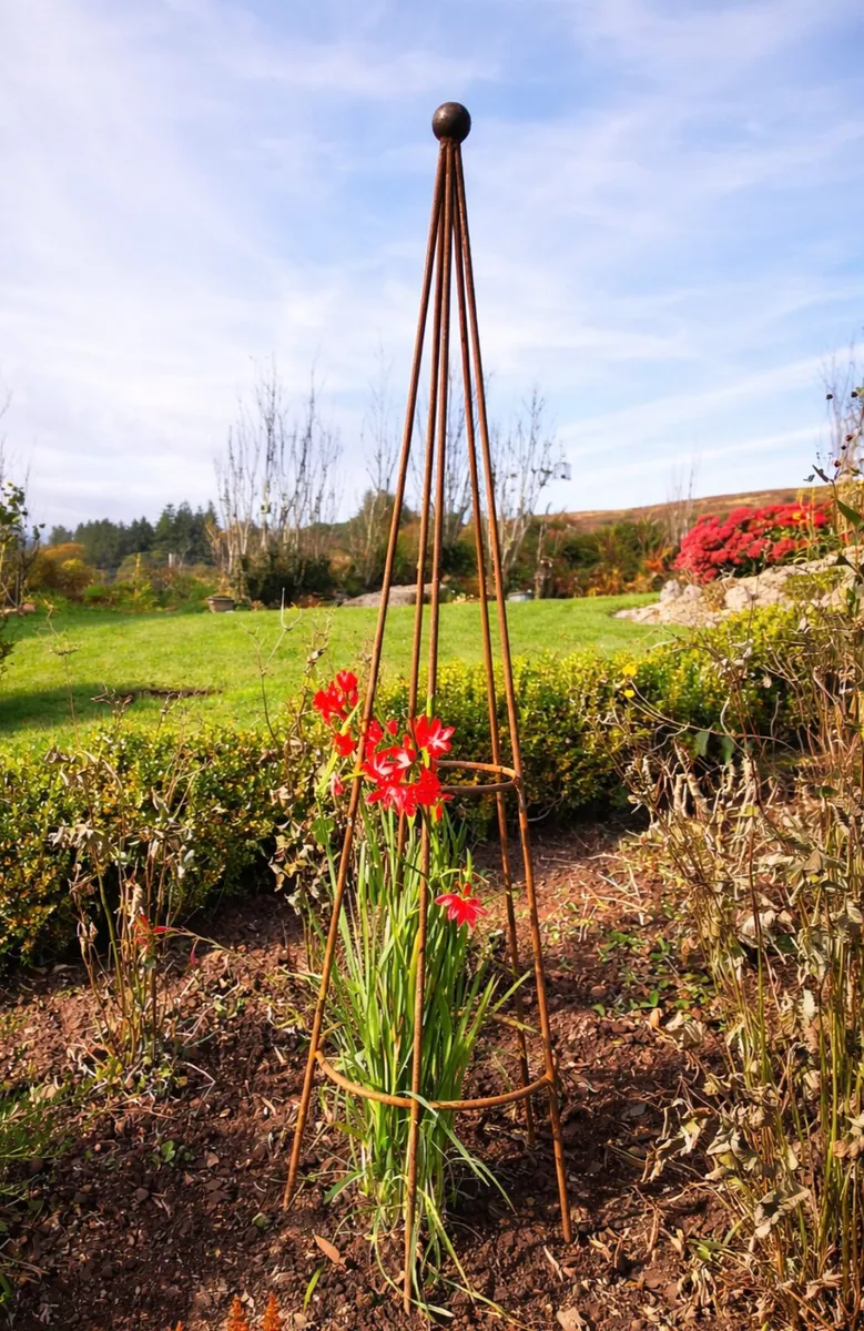 Heritage Ironworks Ireland Garden Obelisks&Trellis - Image 3