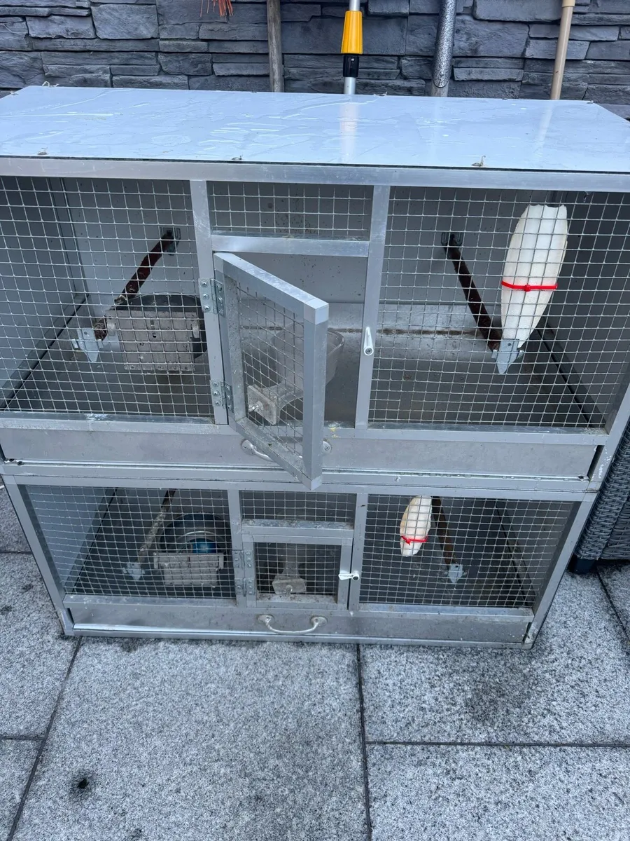 Bird breeding Cages 42:20:20 - Image 2