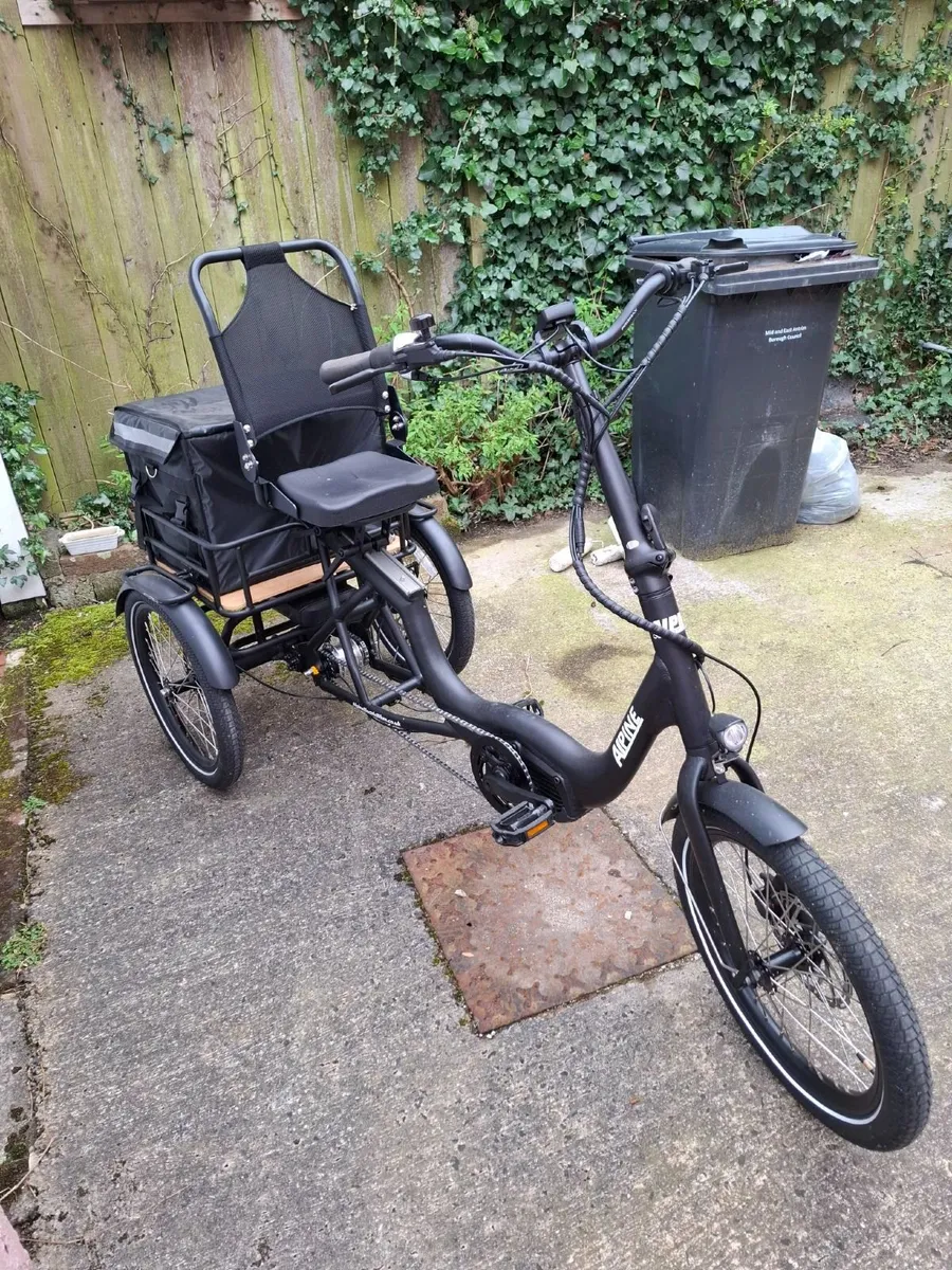 Alpine Vale Electric Trike - Image 2