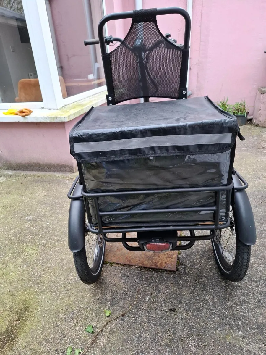 Alpine Vale Electric Trike - Image 3