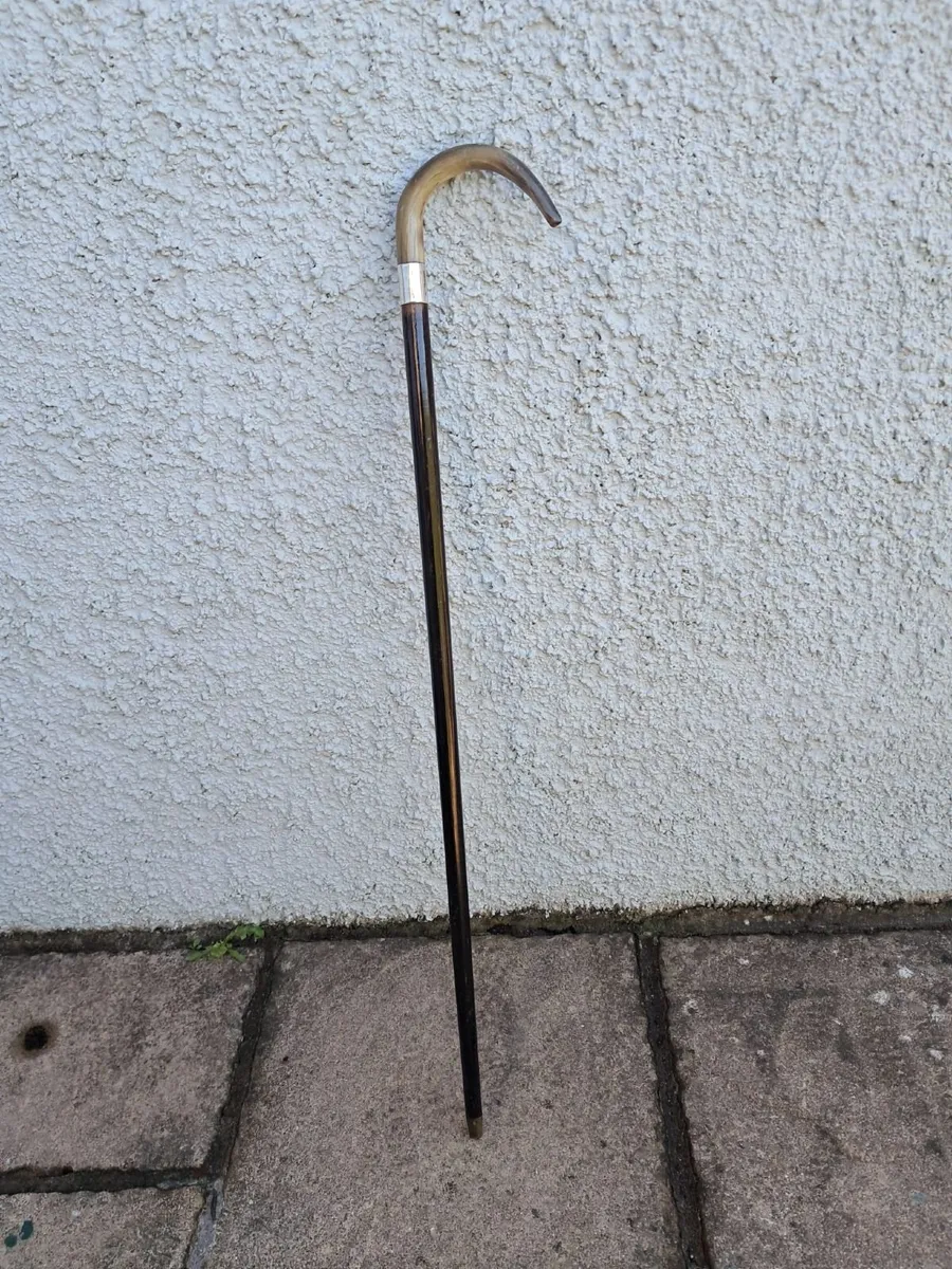 Antique walking stick - Image 4