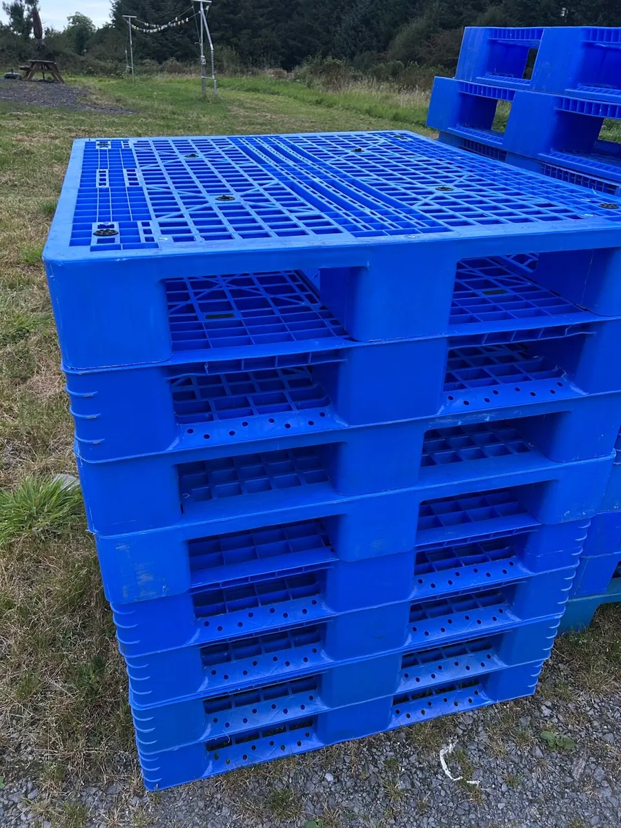 Plastic pallets - Image 1