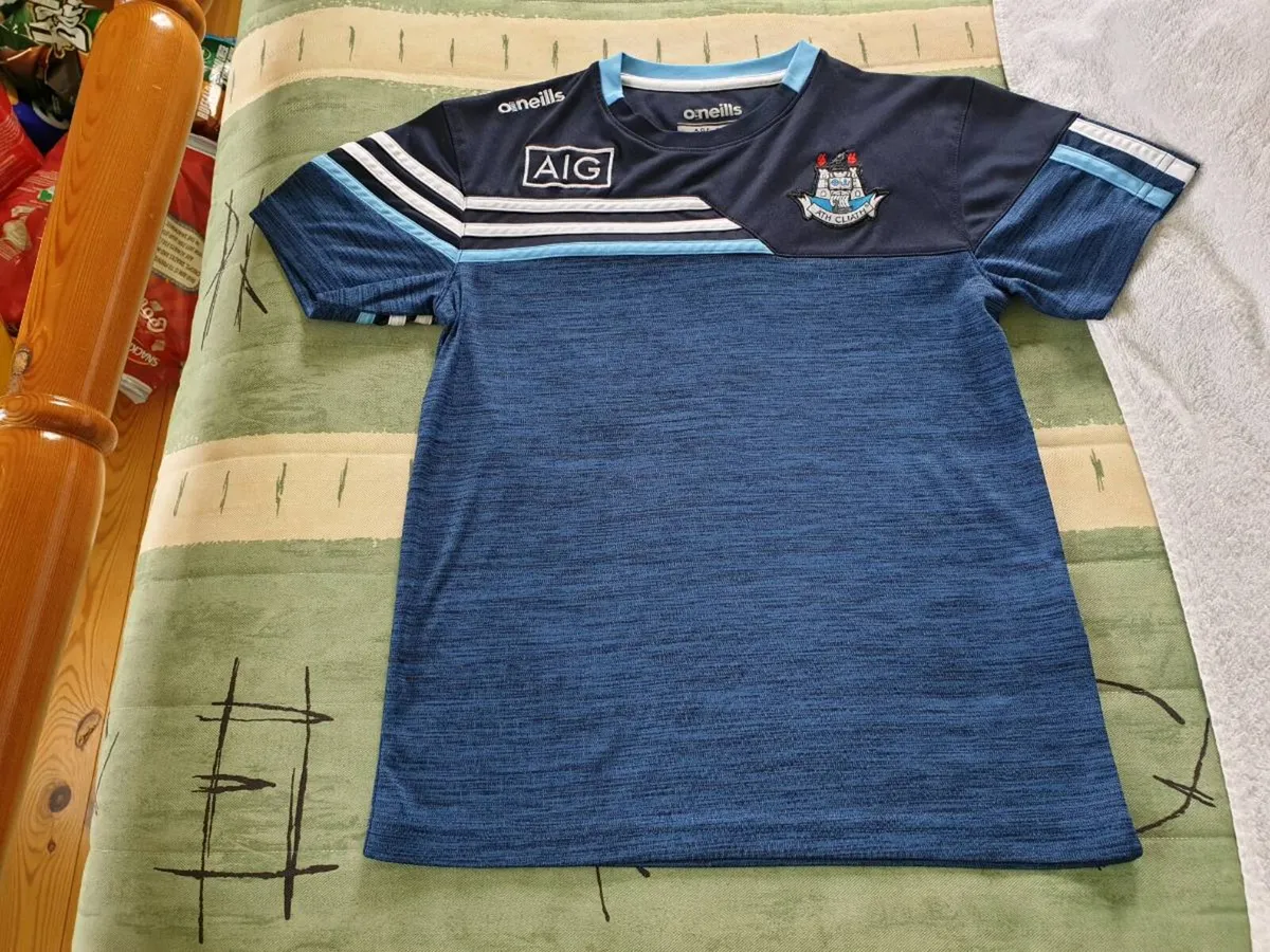 Dublin Gaelic Football Training Jersey 2019 2020 - Image 1