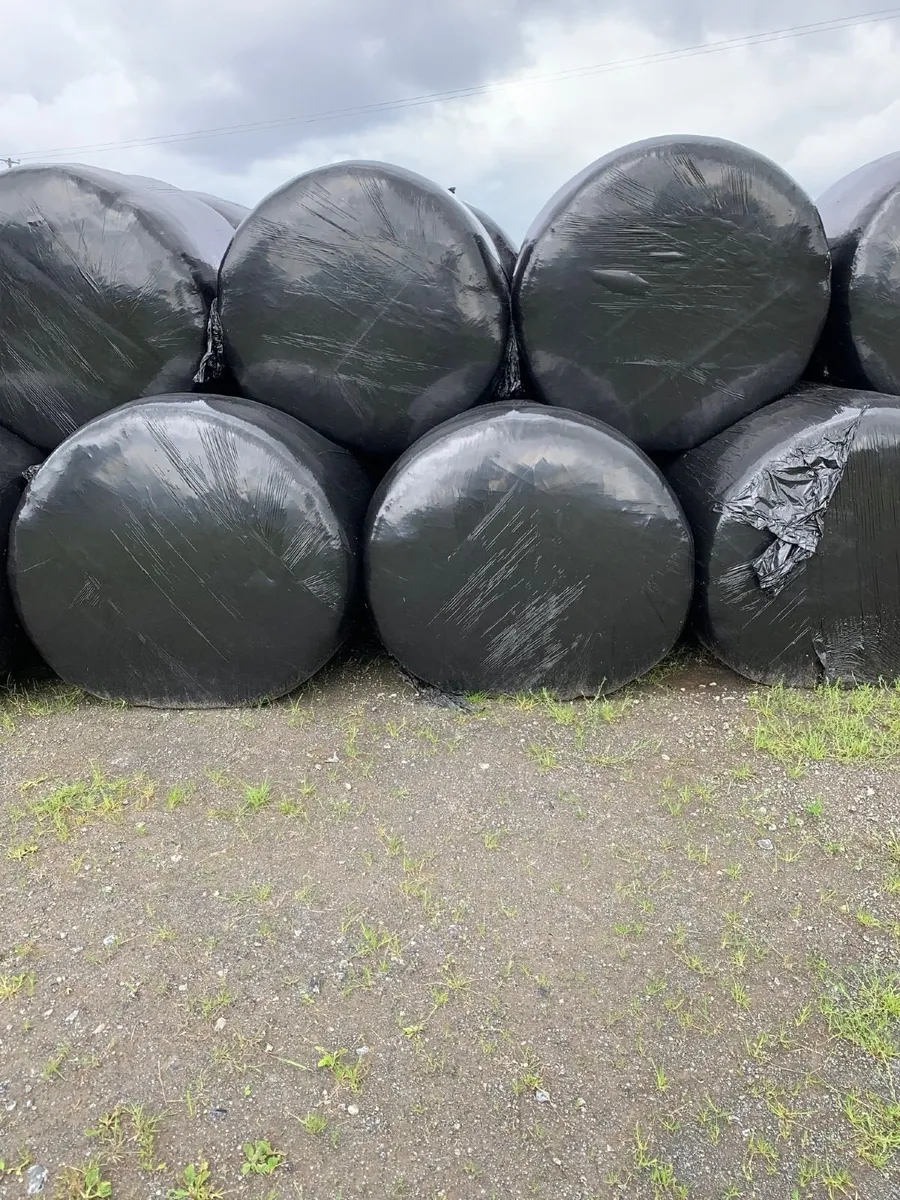 Round bales of Silage