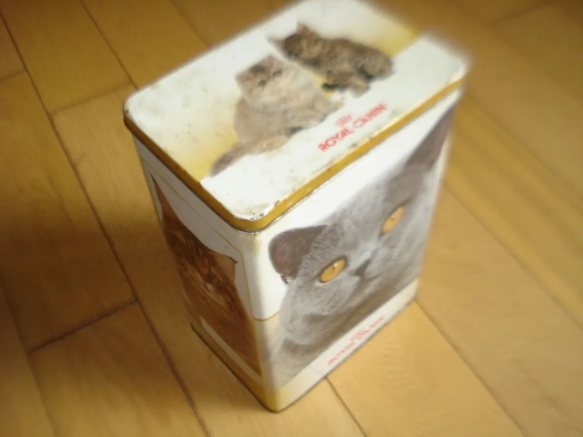 COLLECTOR METAL TIN BOXES & TRAY. - Image 3