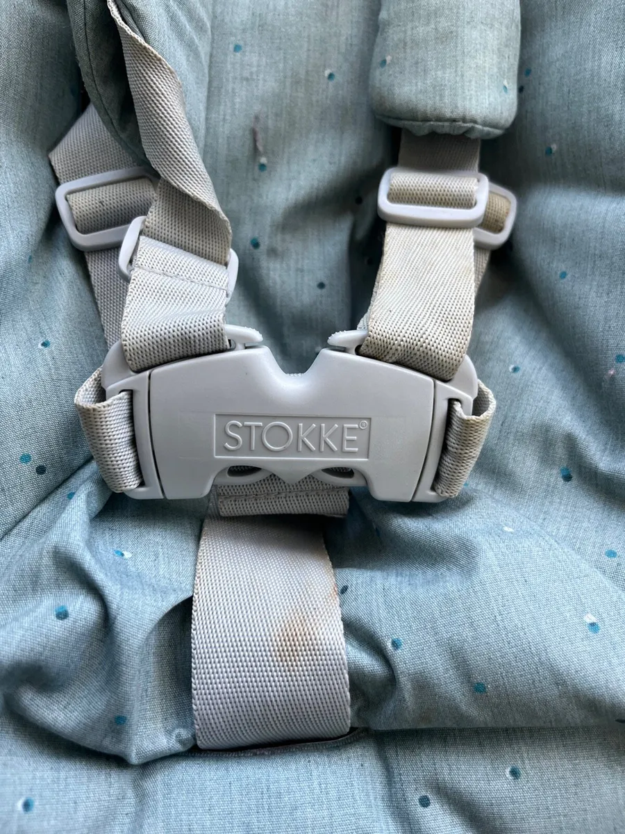 Stokke newborn seat - Image 2