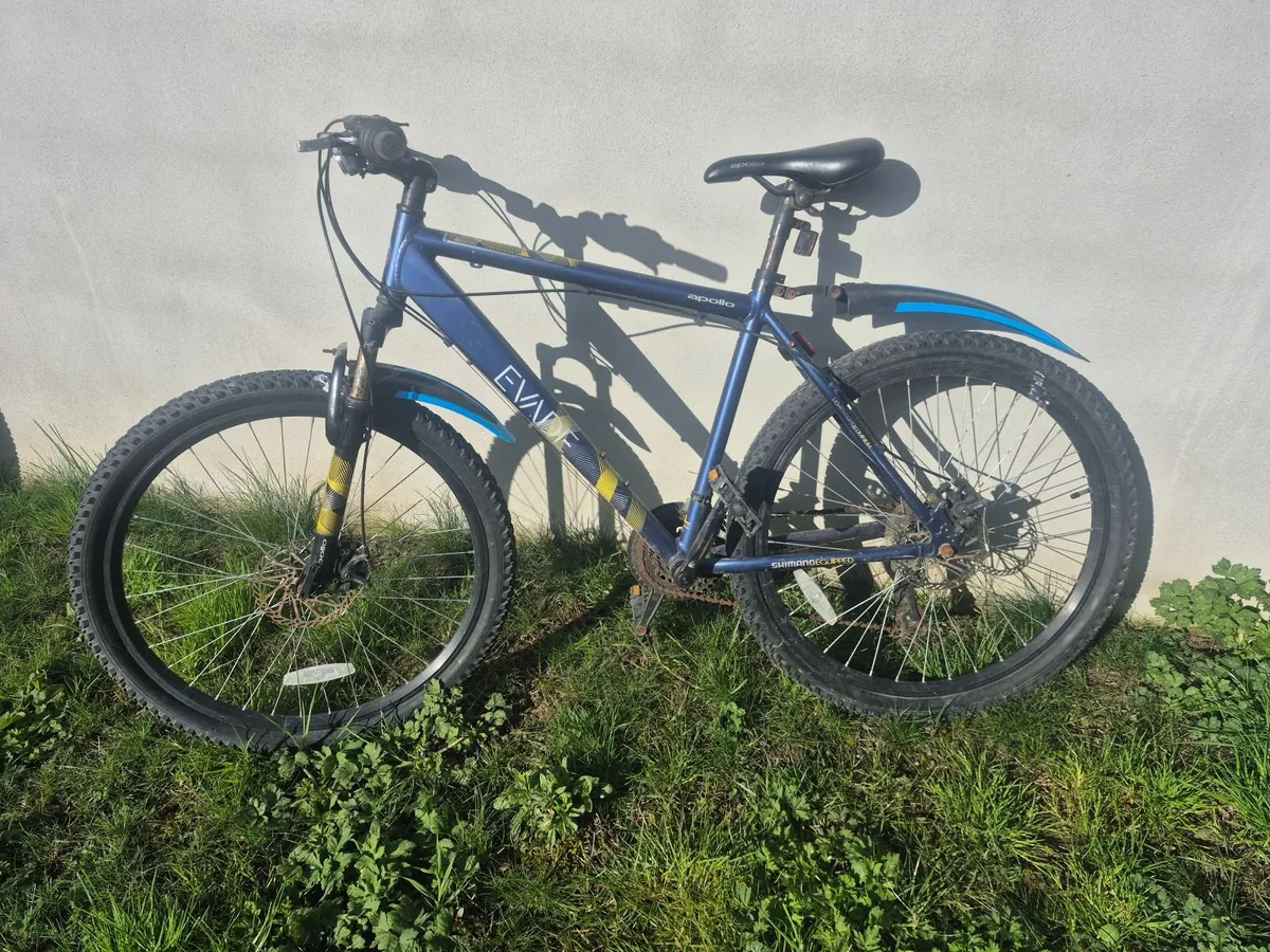 Bike - mountain bike