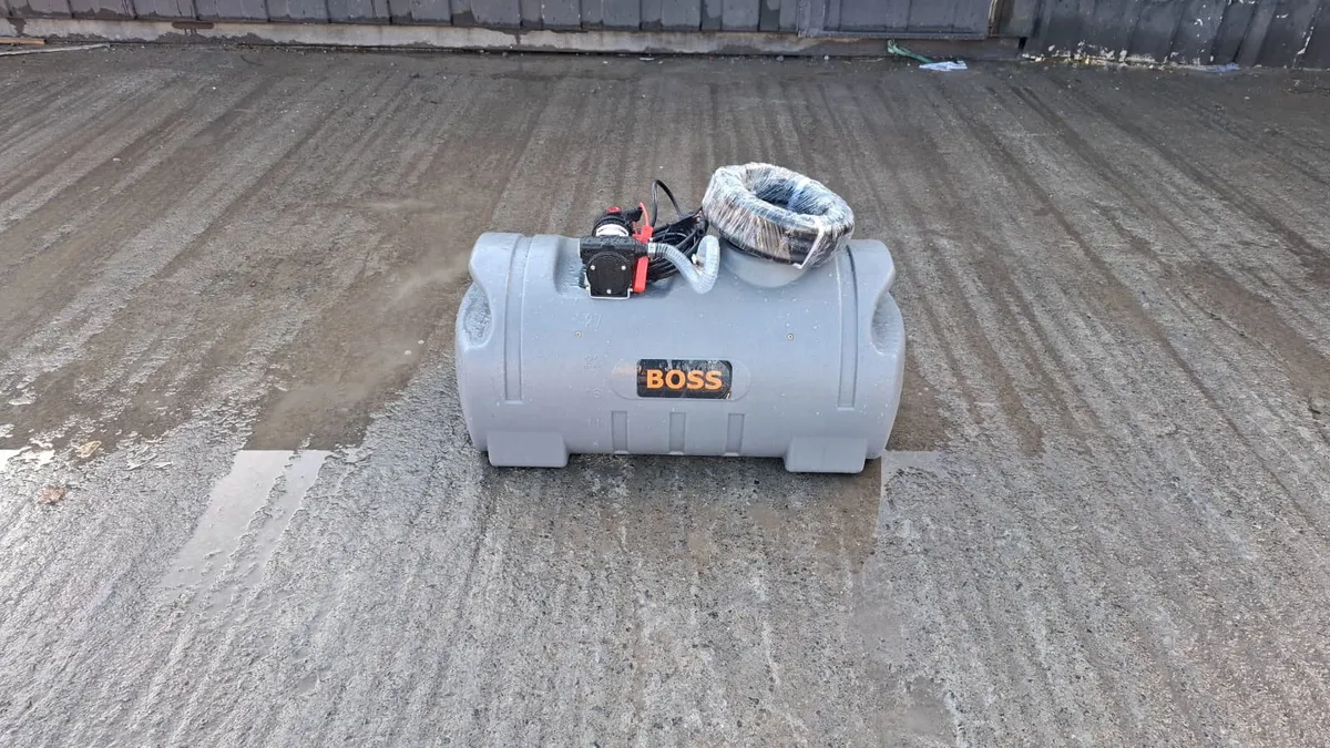 100L Boss Bowser - Image 2