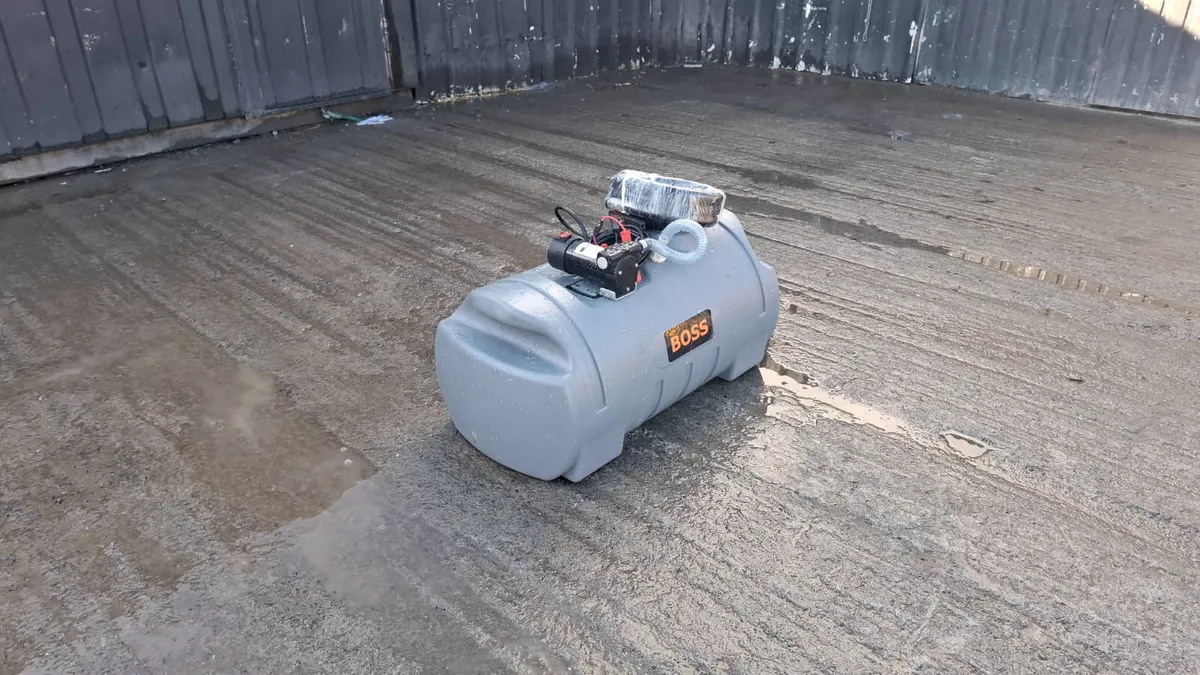 100L Boss Bowser - Image 1