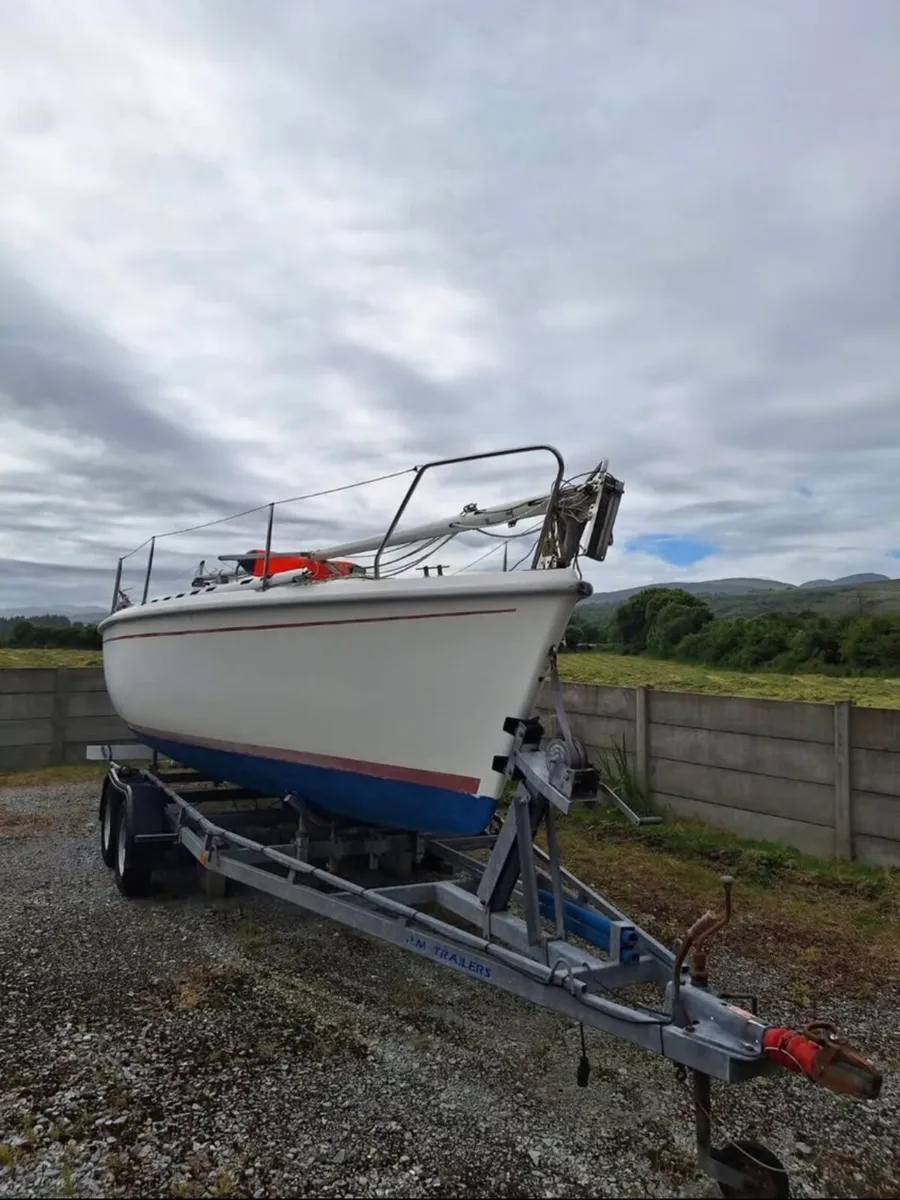 Sportina Delfina - Image 1