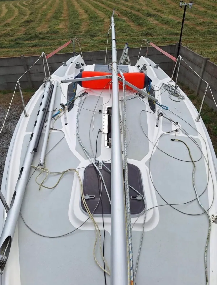 Sportina Delfina - Image 3