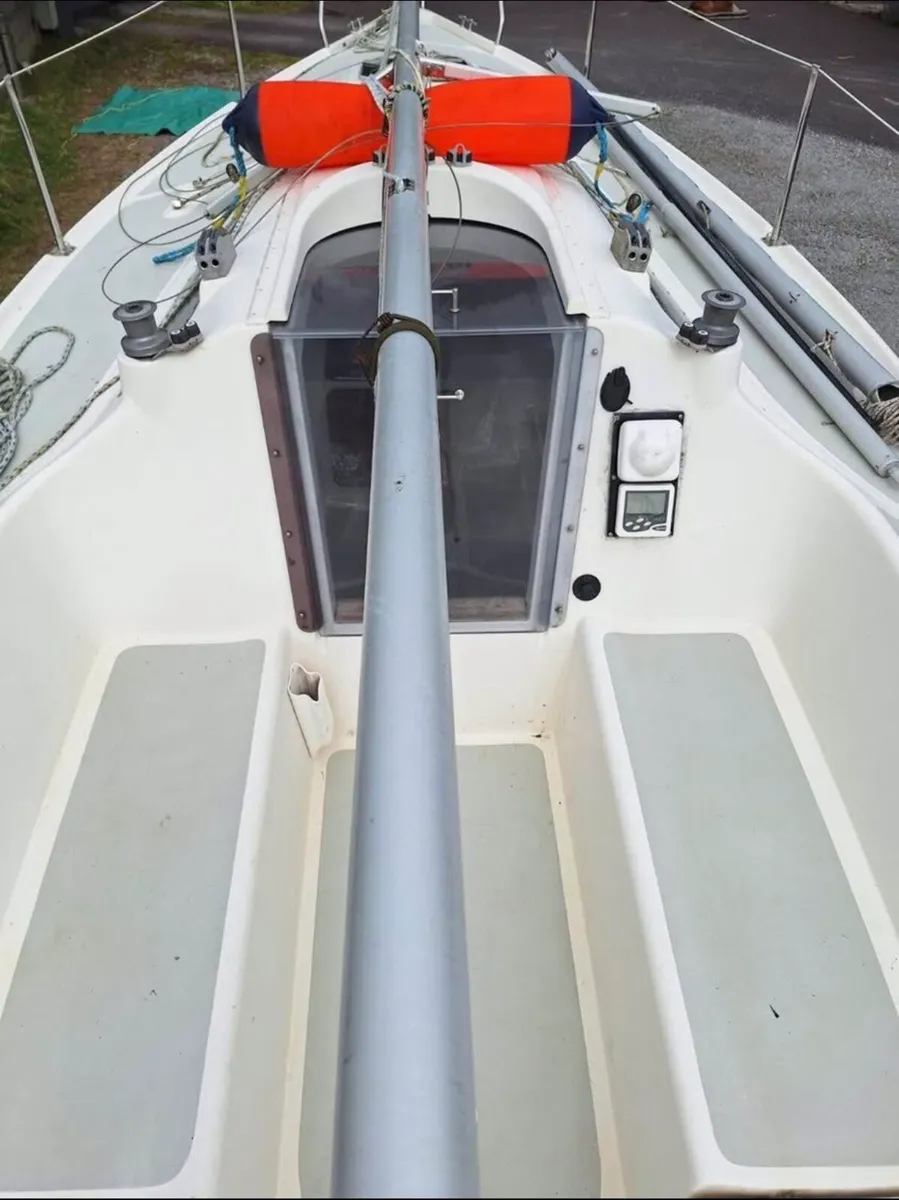 Sportina Delfina - Image 4