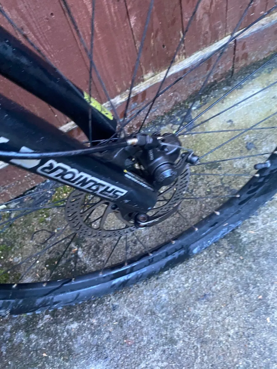 Carrera vengeance - Image 4