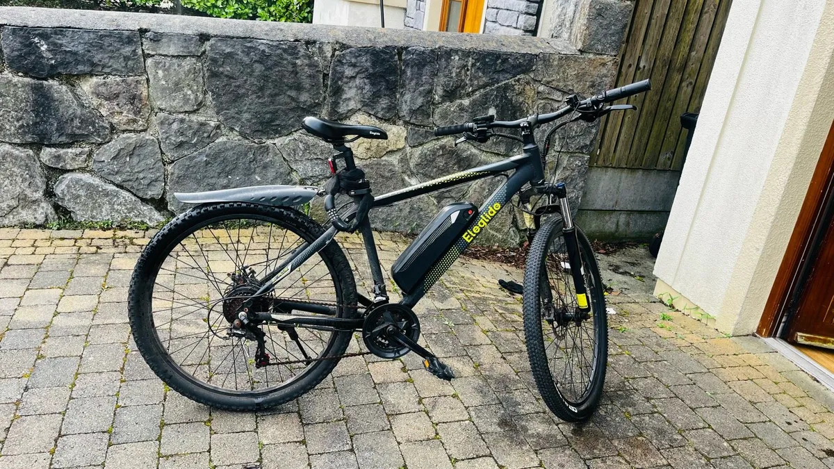 Electric bicycle - Image 2