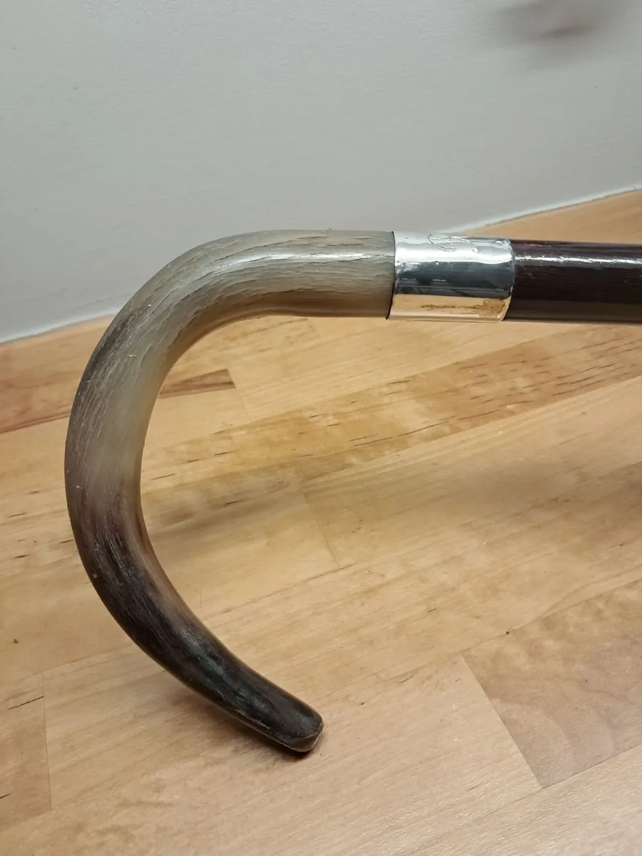 Antique walking stick - Image 1