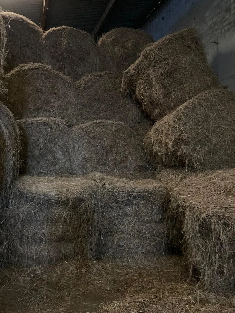 Bales of hay