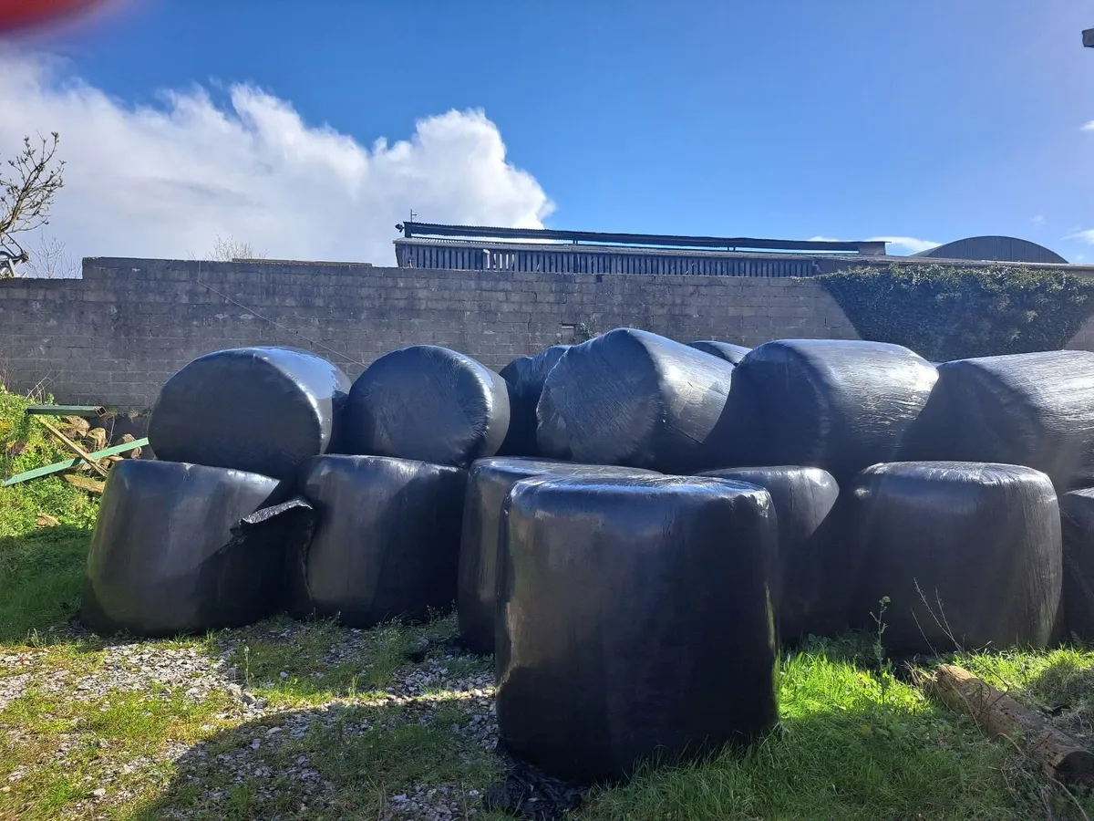 SILEAGE BALES, Lisnaskea, Co Fermanagh