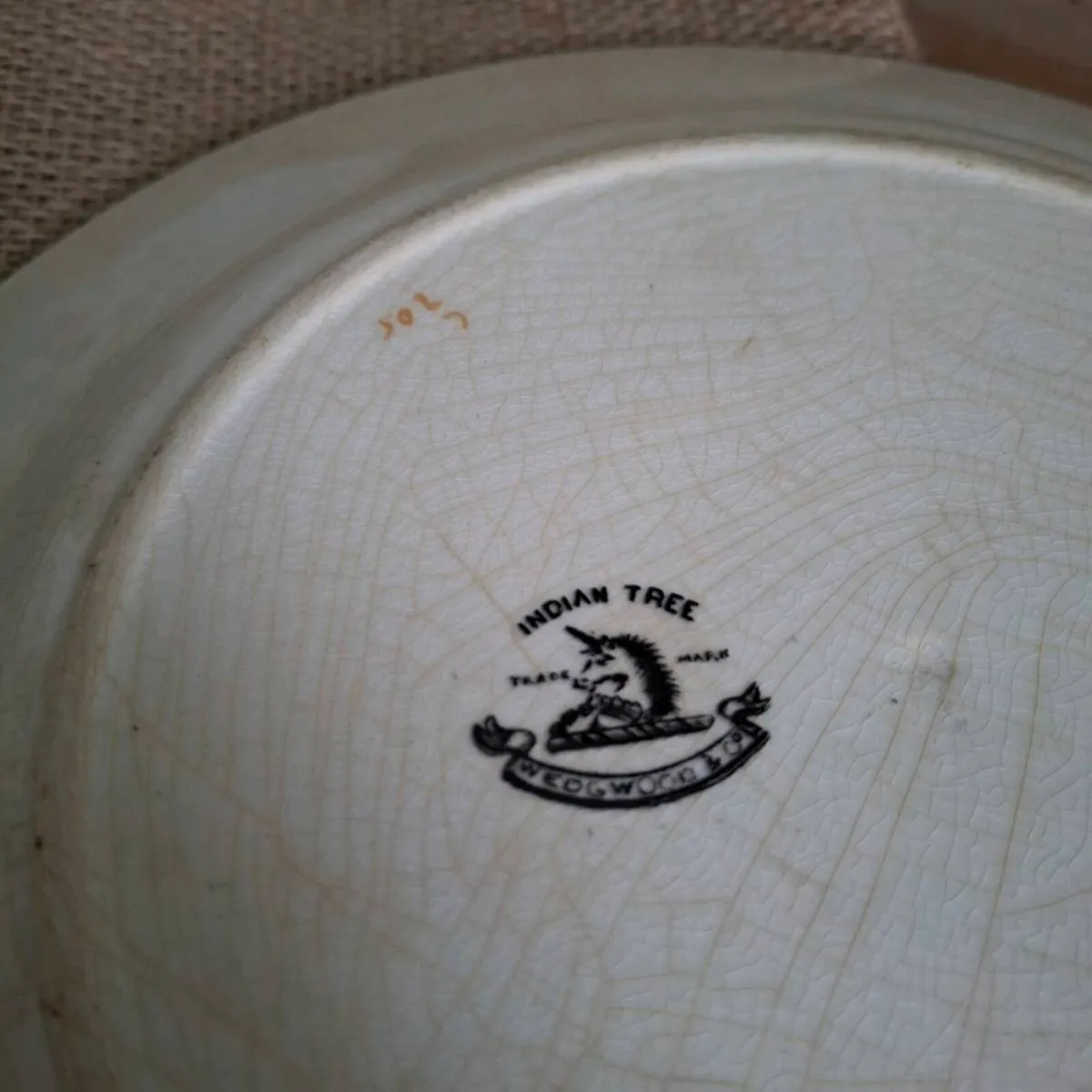 Wedgwood Indian Tree Plate - Image 3