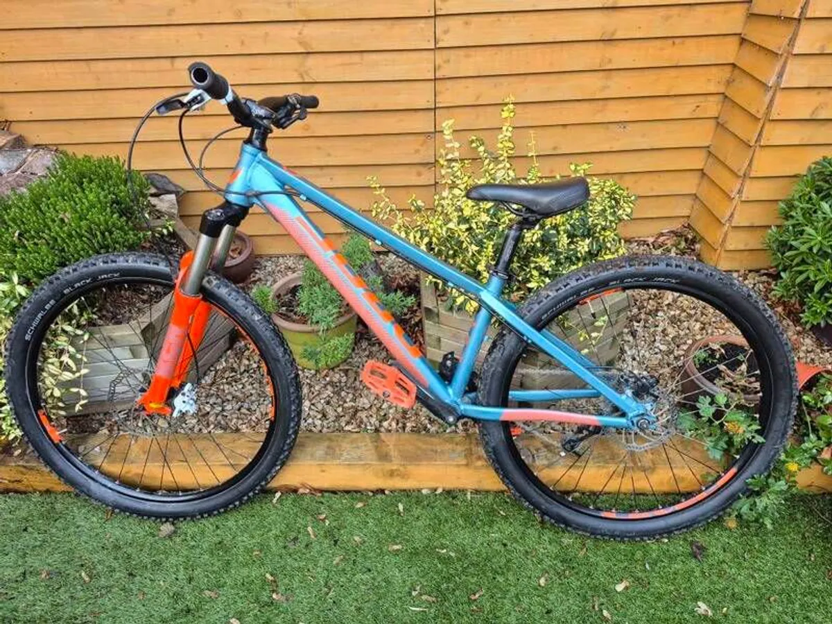 Hardtail Mountain Bike - Image 1
