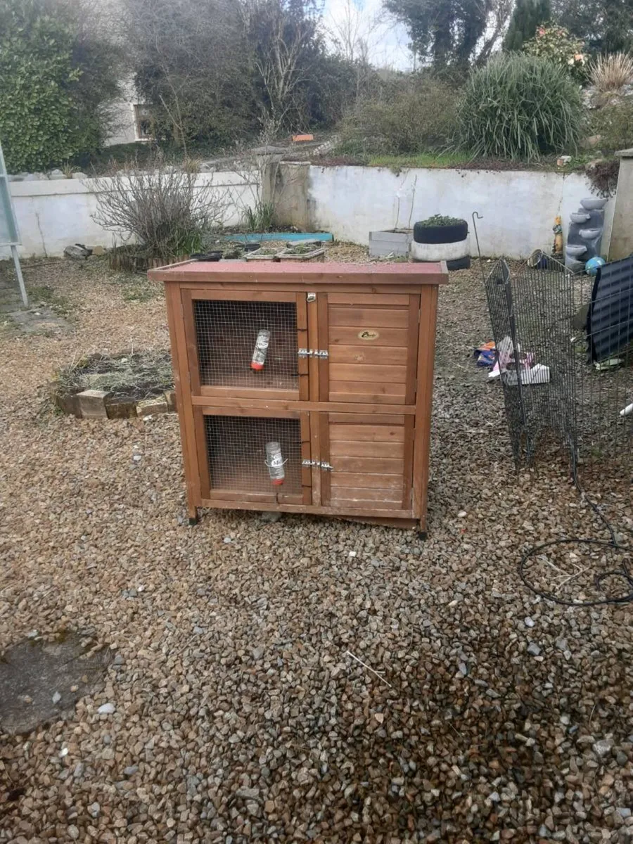 Rabbit box - Image 1