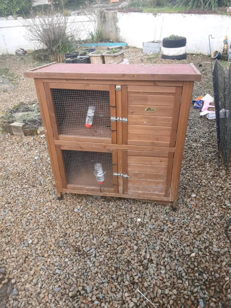 Rabbit box - Image 2