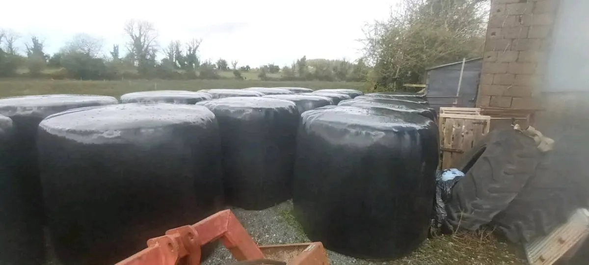 Bales of Silage
