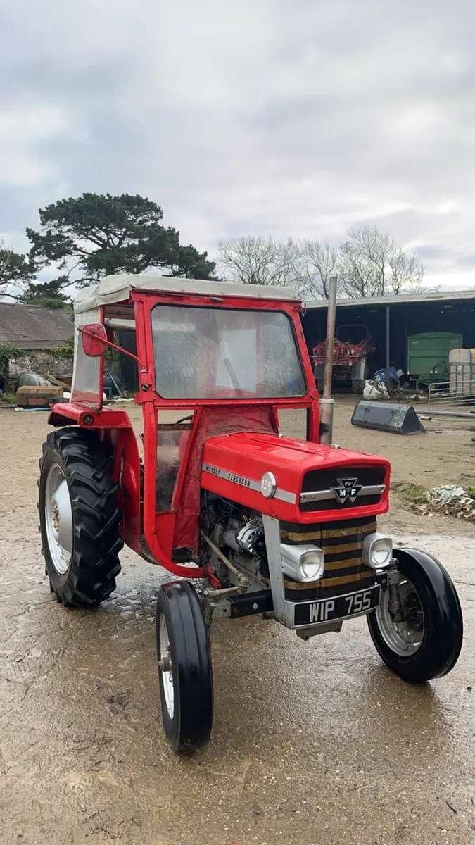 Massey Ferguson 135 - Image 2