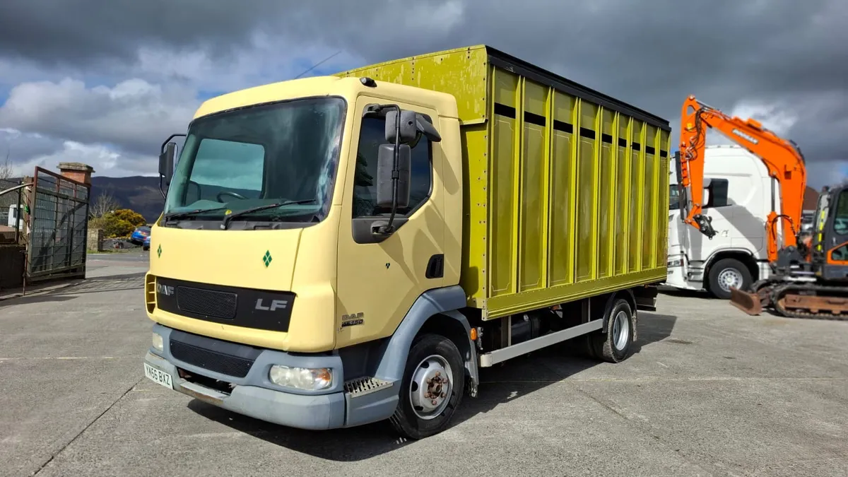 2007 Daf LF45 Cattle truck - Image 4