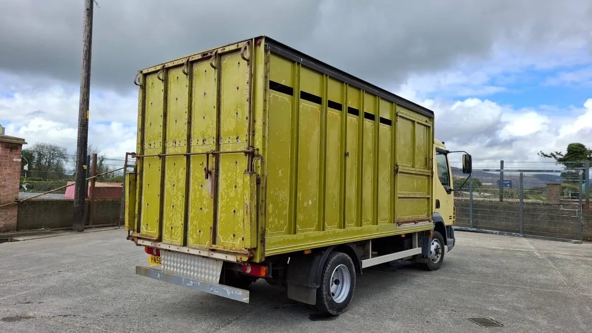 2007 Daf LF45 Cattle truck - Image 3