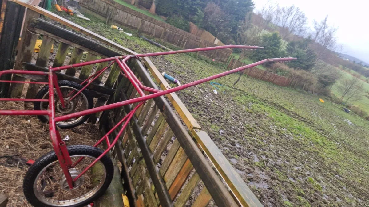 Horse cart - Image 2