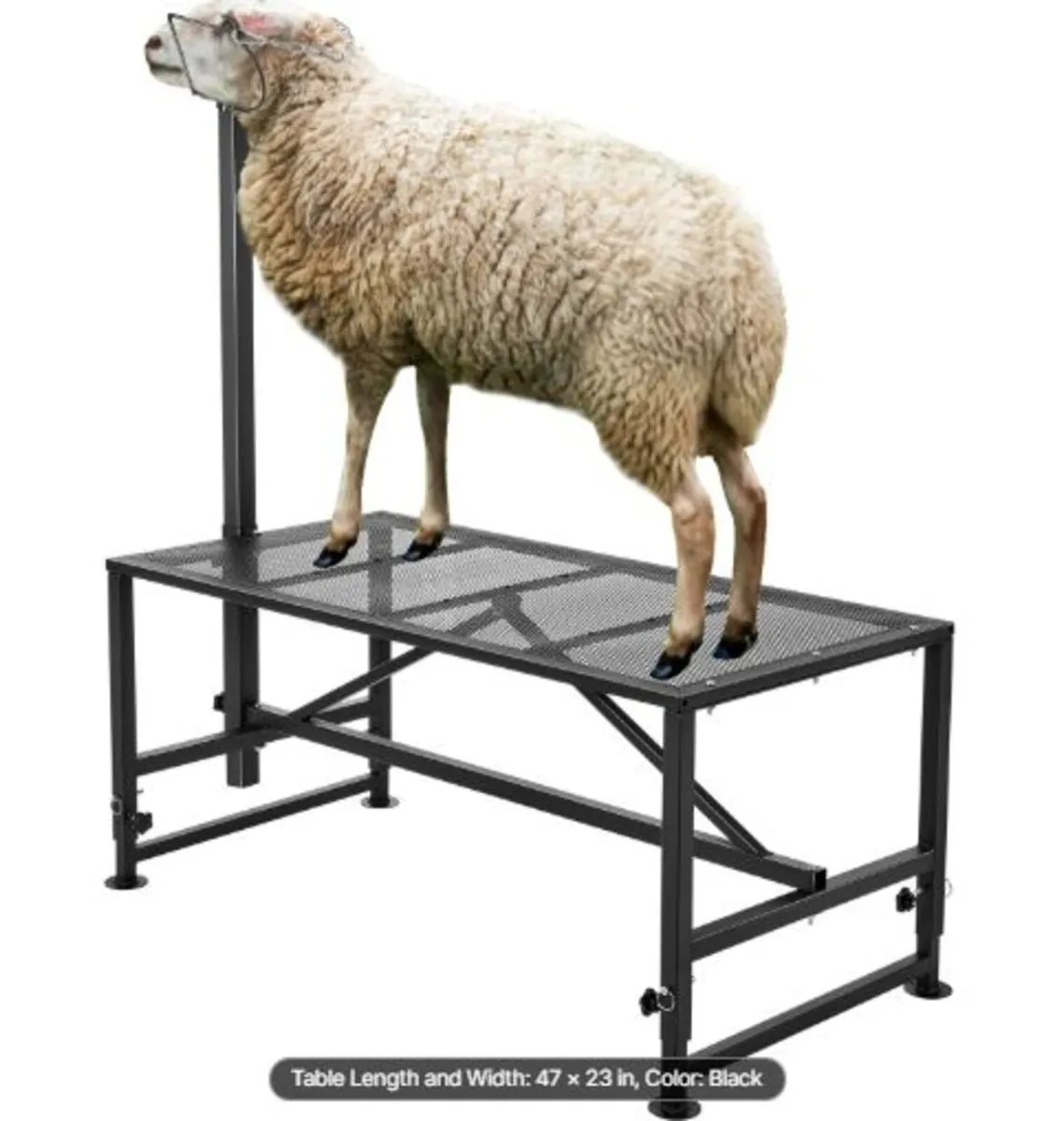 Goat & Sheep Stand, 47x23 inch Livestock Stand, - Image 1