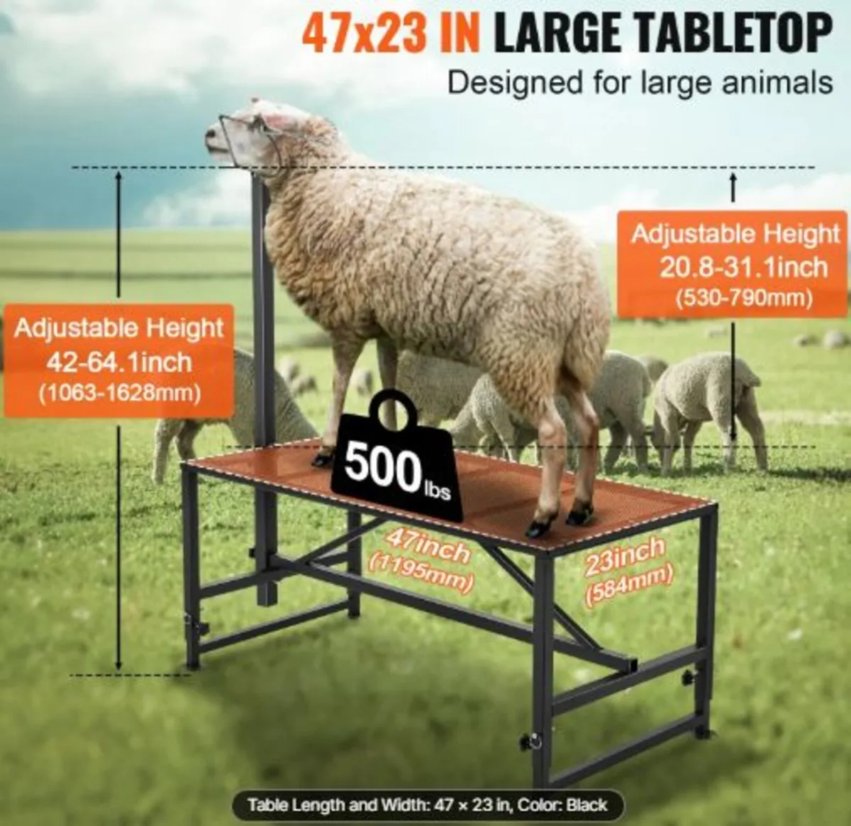 Goat & Sheep Stand, 47x23 inch Livestock Stand, - Image 2