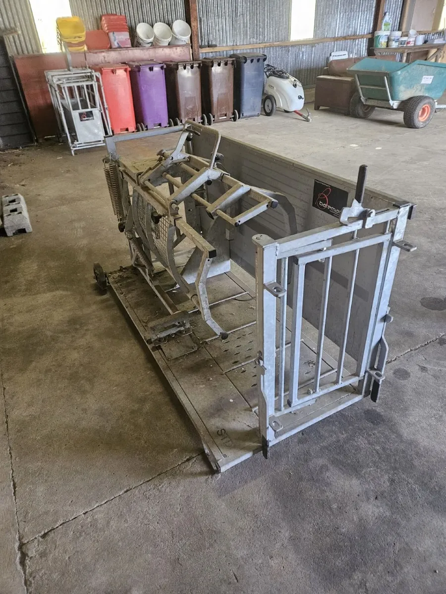 Bateman Standard Sheep Vet Rollover Crate 800-30 - Image 1