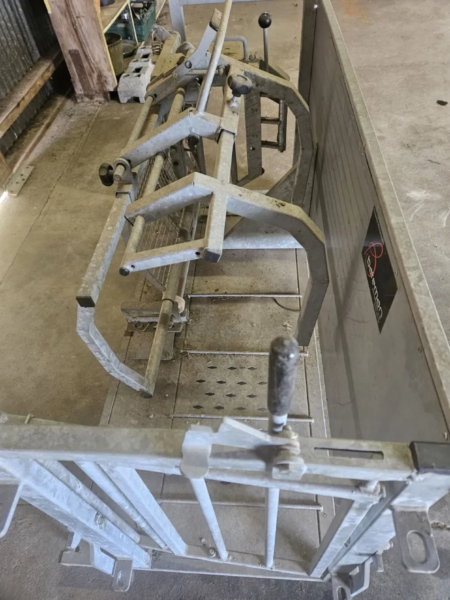 Bateman Standard Sheep Vet Rollover Crate 800-30 - Image 2